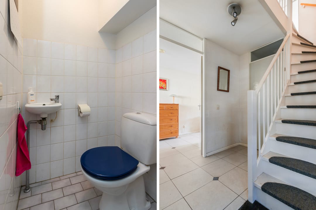 Foto 11 van Palissander 173