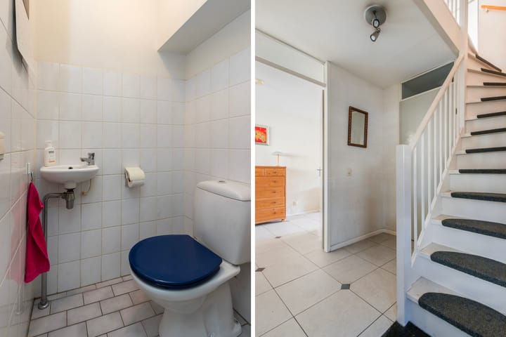 Foto 11 van Palissander 173