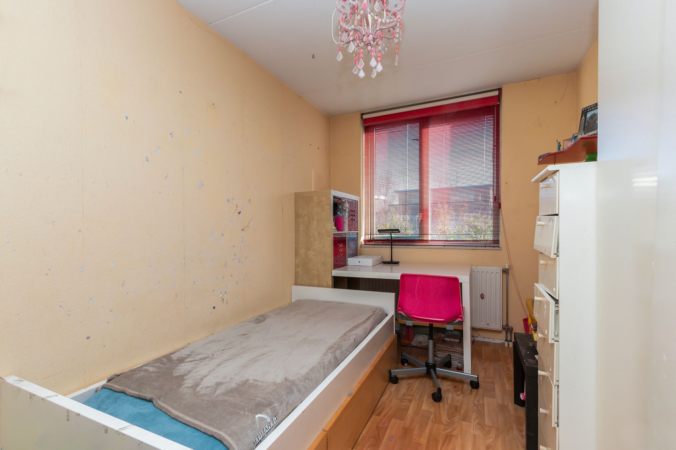 Foto 15 van Palissander 173