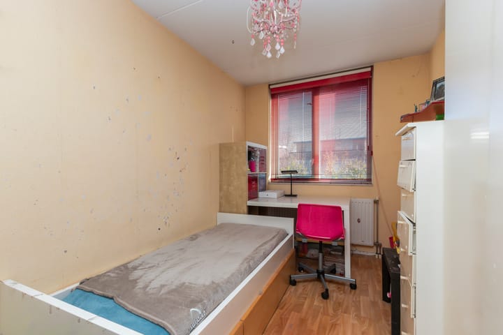 Foto 15 van Palissander 173