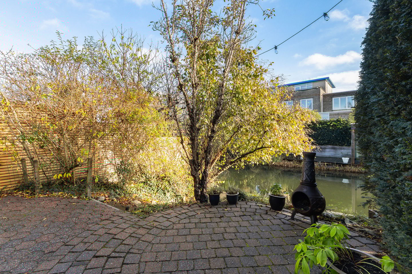 Foto 20 van Palissander 173