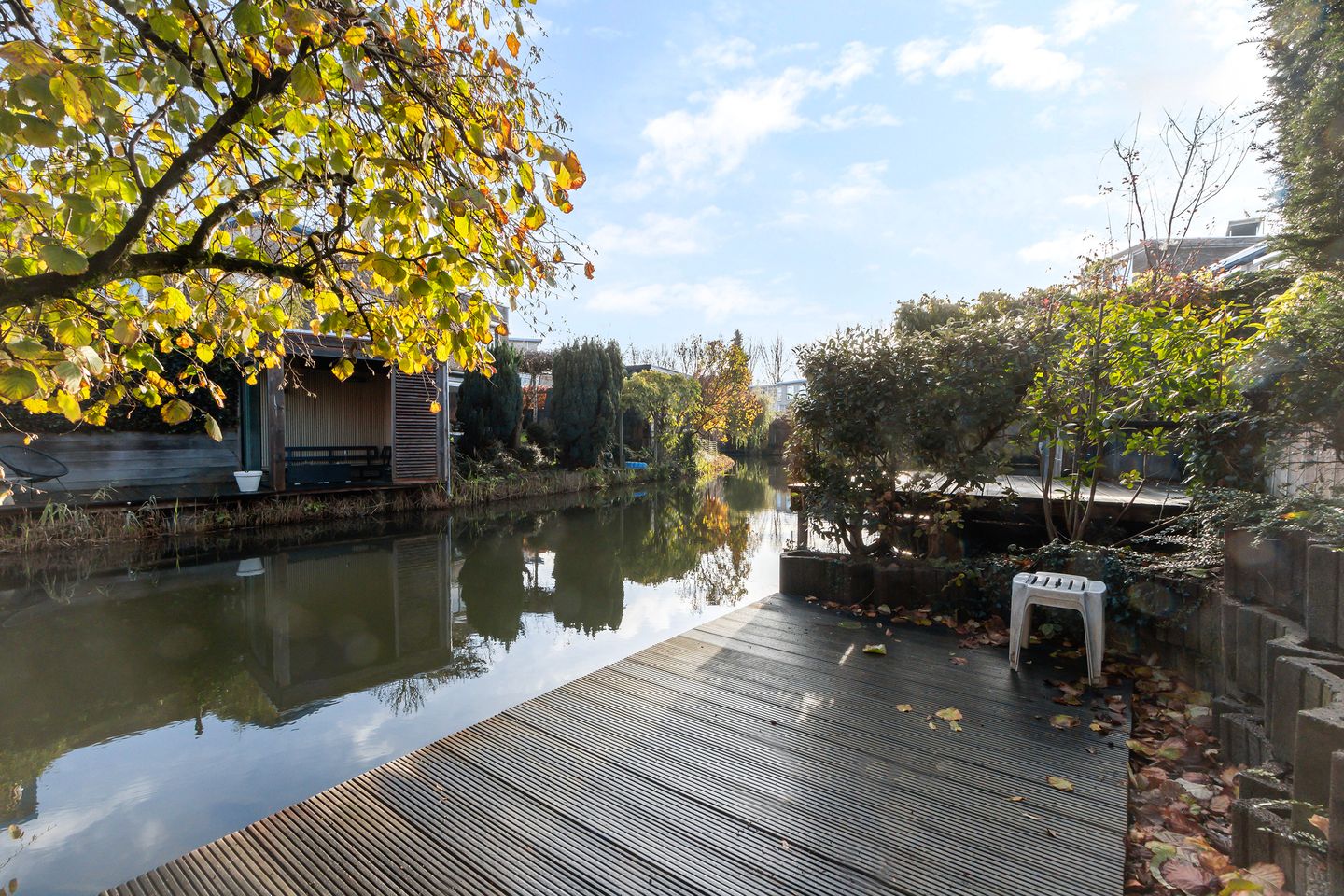 Foto 4 van Palissander 173