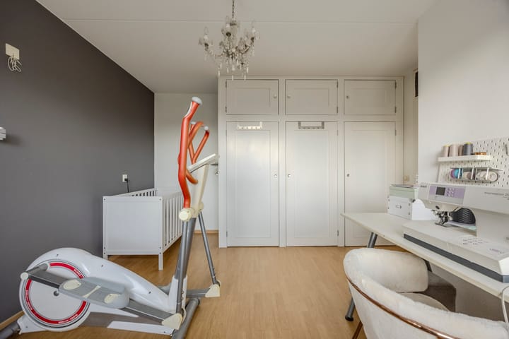 Foto 31 van Remy van Haanenstraat 16