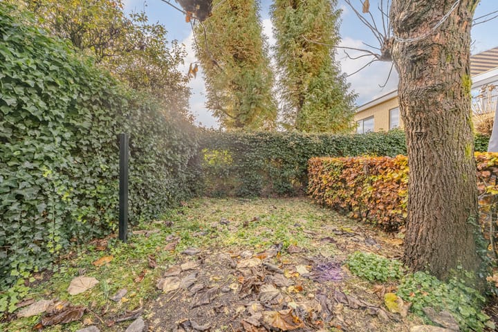 Foto 46 van Remy van Haanenstraat 16