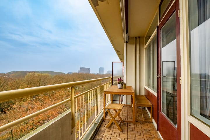 Foto 15 van Livingstonelaan 184