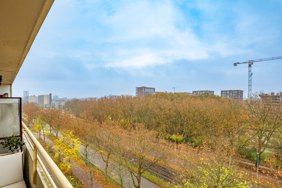 Foto 17 van Livingstonelaan 184