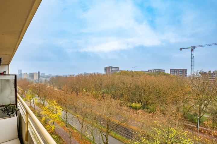 Foto 17 van Livingstonelaan 184