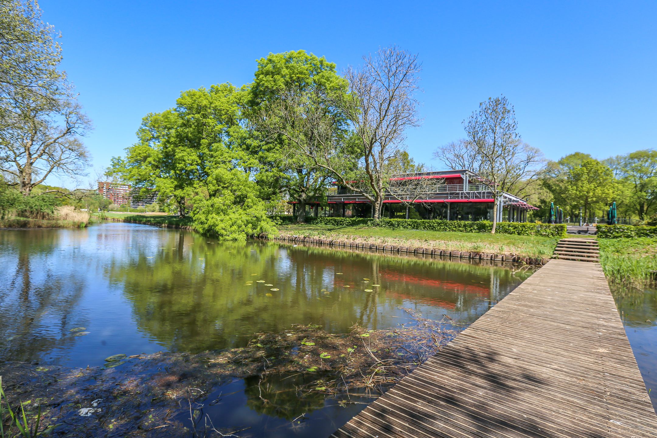 Foto 36 van Livingstonelaan 184