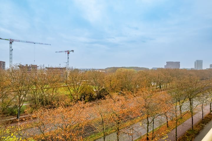 Foto 4 van Livingstonelaan 184