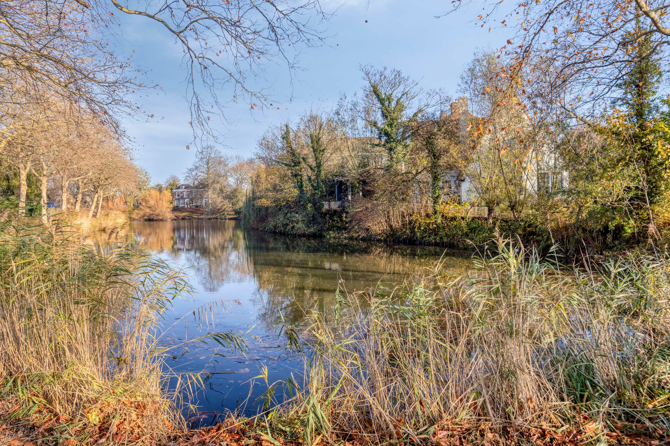 Foto 30 van Westsingel 134-C