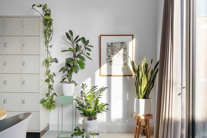 Photo 25 of Porrenhofstraat 21