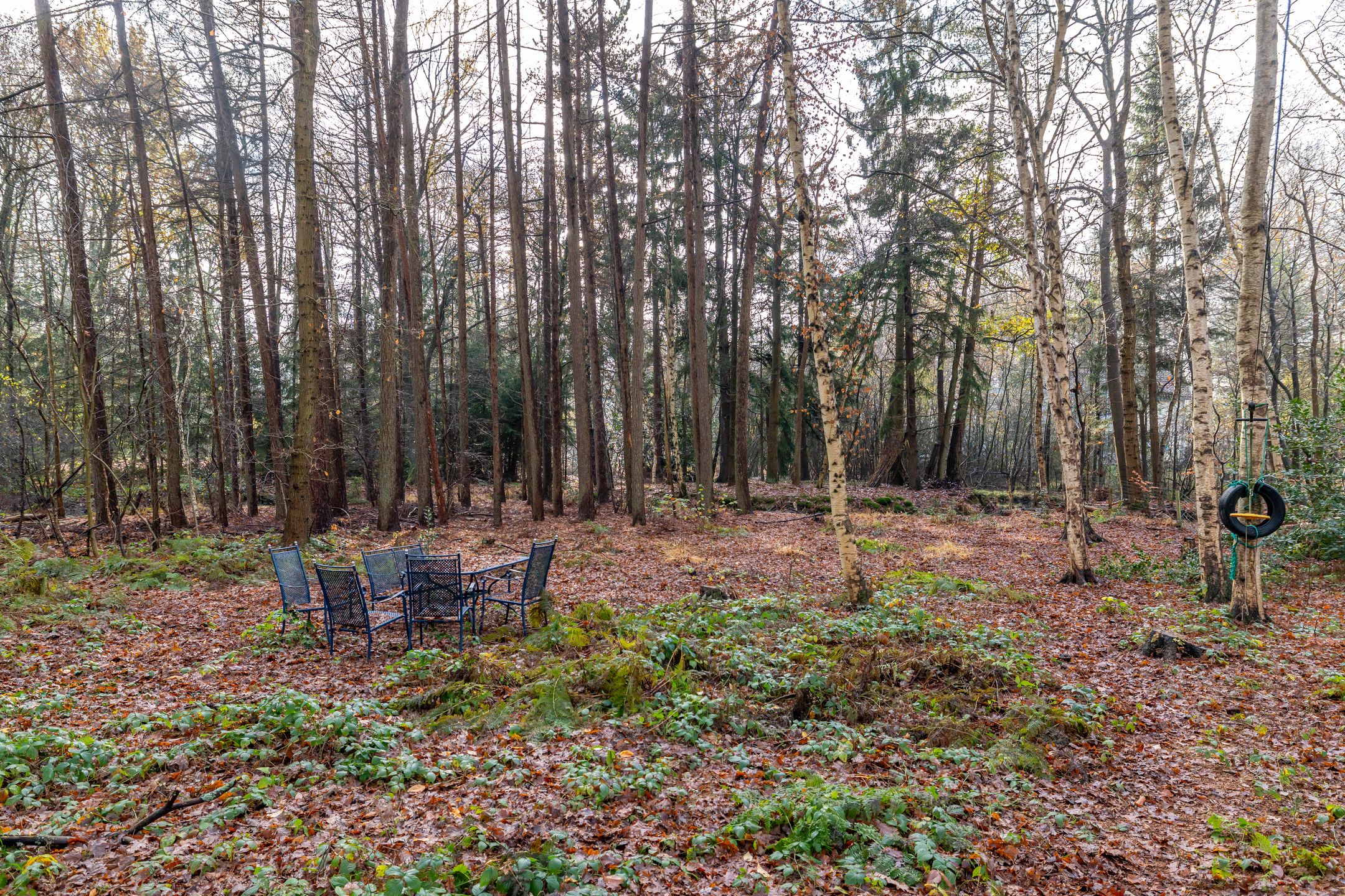 Photo 42 of Villapark 1