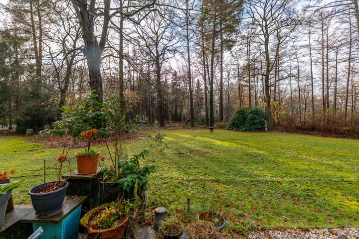 Foto 50 van Villapark 1