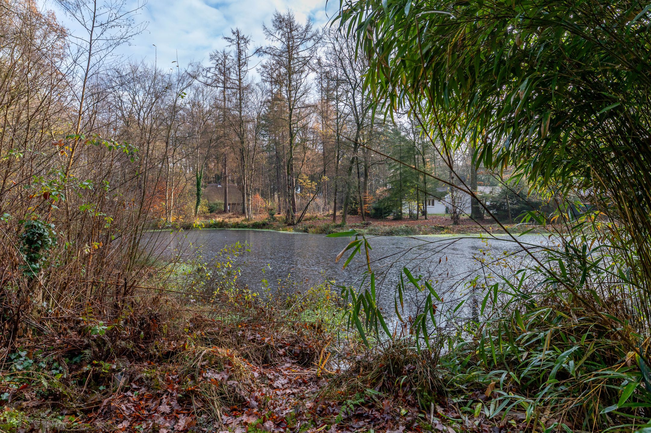 Photo 51 of Villapark 1