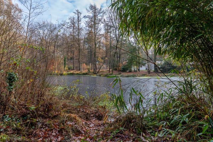 Foto 51 van Villapark 1