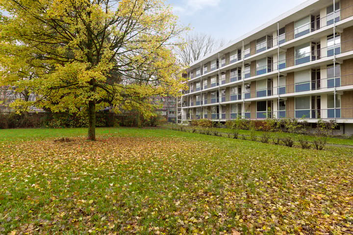 Foto 2 van Ogierssingel 155