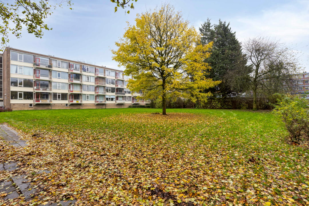 Photo 26 of Ogierssingel 155