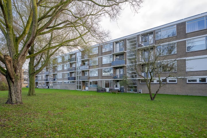 Photo 9 of Frans Halsplantsoen 129