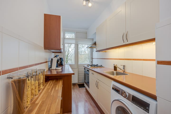 Photo 25 of Frans Halsplantsoen 129