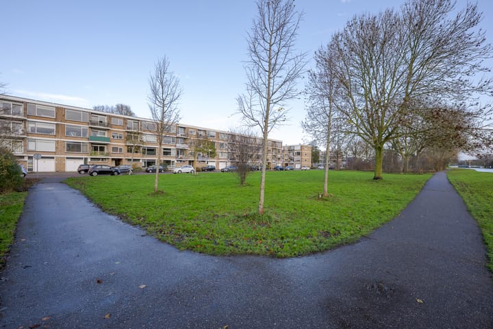 Photo 37 of Frans Halsplantsoen 129