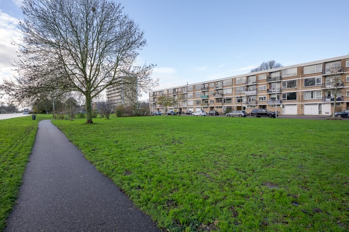 Photo 38 of Frans Halsplantsoen 129