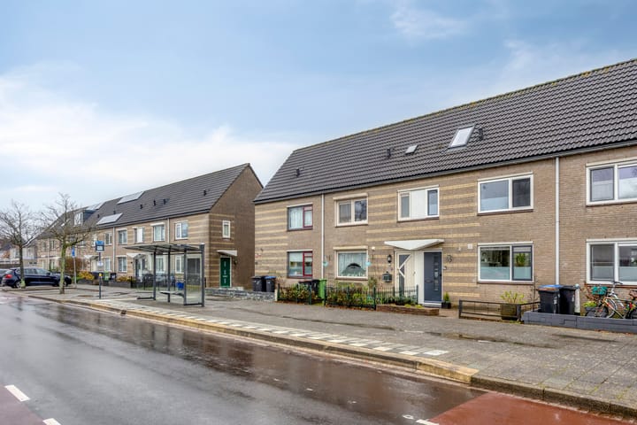 Foto 8 van Grevelingenmeer 199