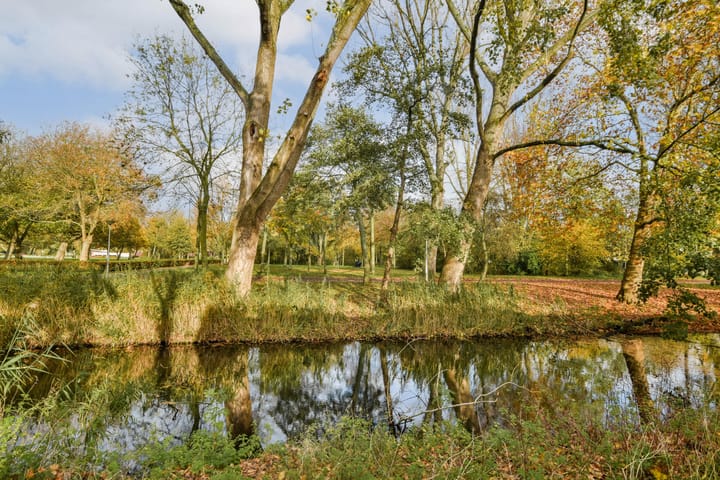 Foto 27 van Willy Pétillonstraat 1