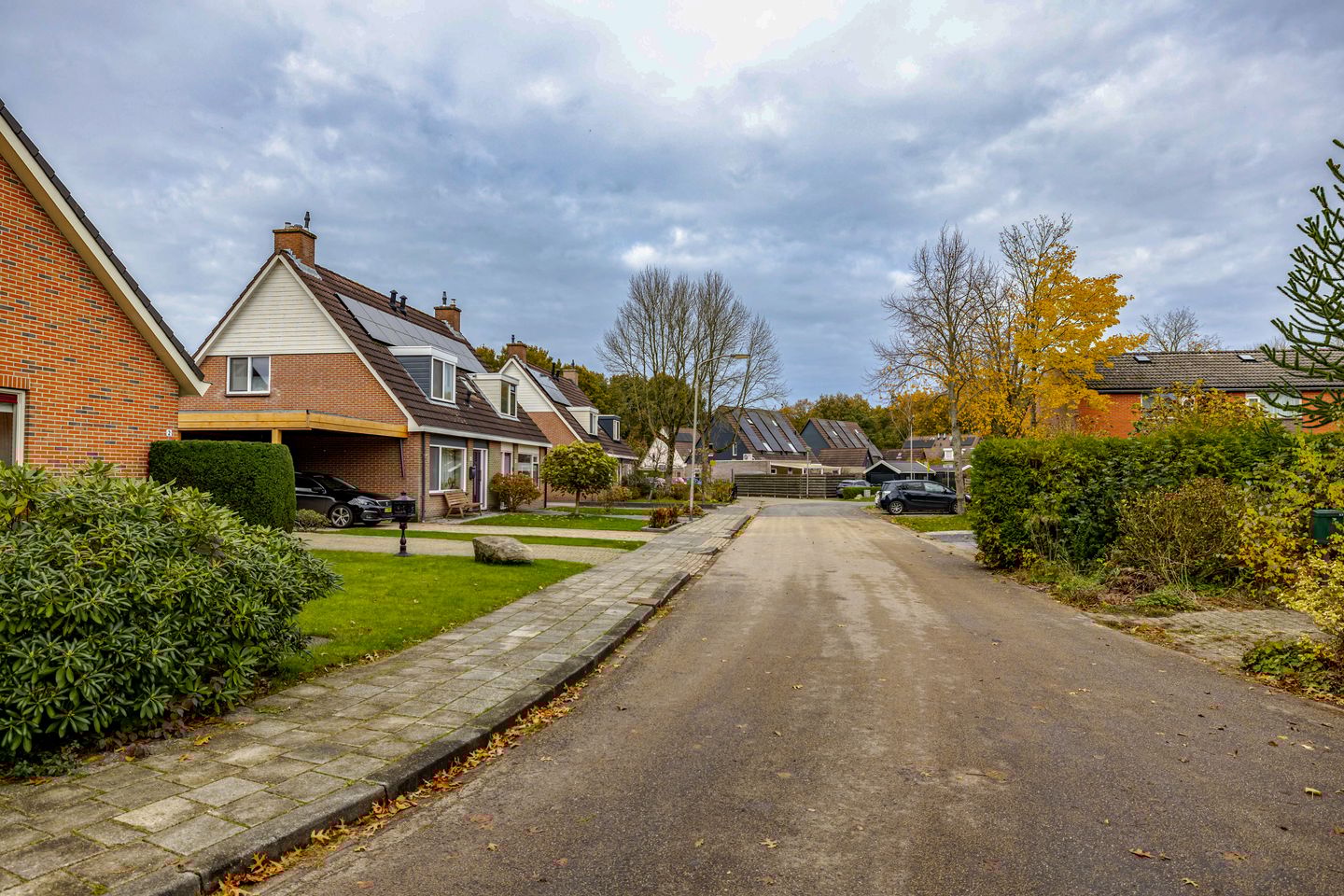 Foto 4 van Ganzedrift 2