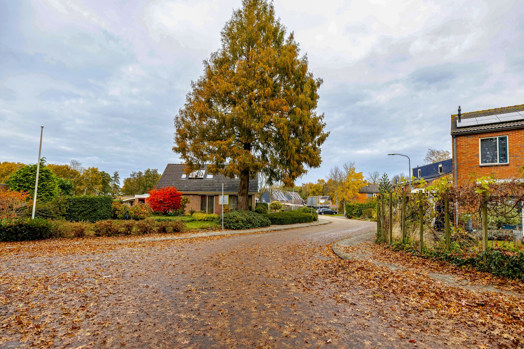 Foto 63 van Ganzedrift 2