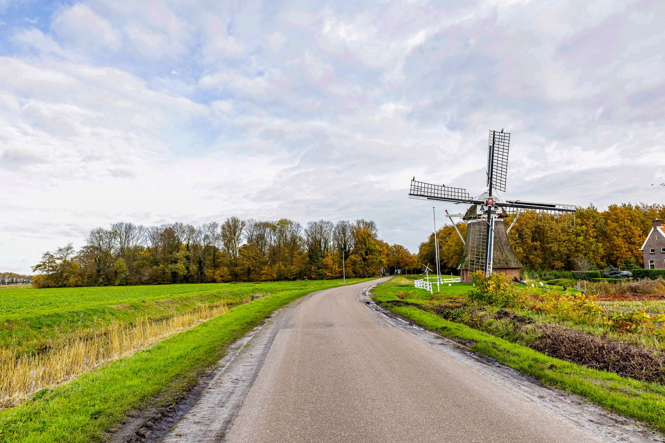 Foto 69 van Ganzedrift 2