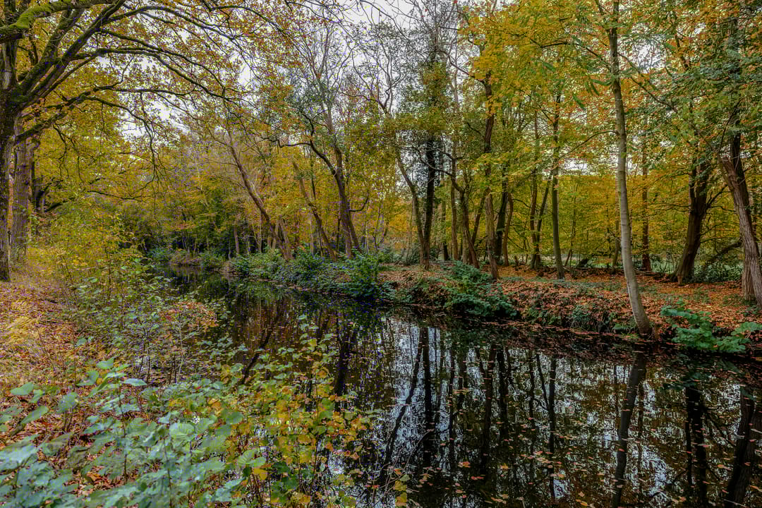 Foto 71 van Ganzedrift 2