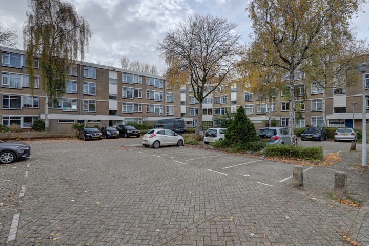 Photo 4 of Midscheeps 17