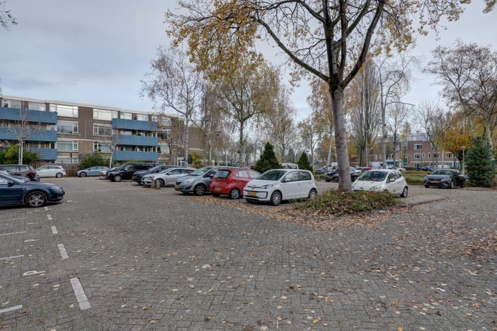 Photo 3 of Midscheeps 17