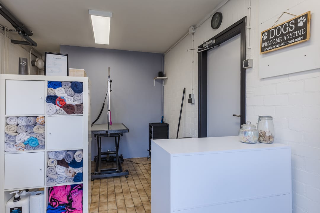 Photo 11 of De Vucht 56
