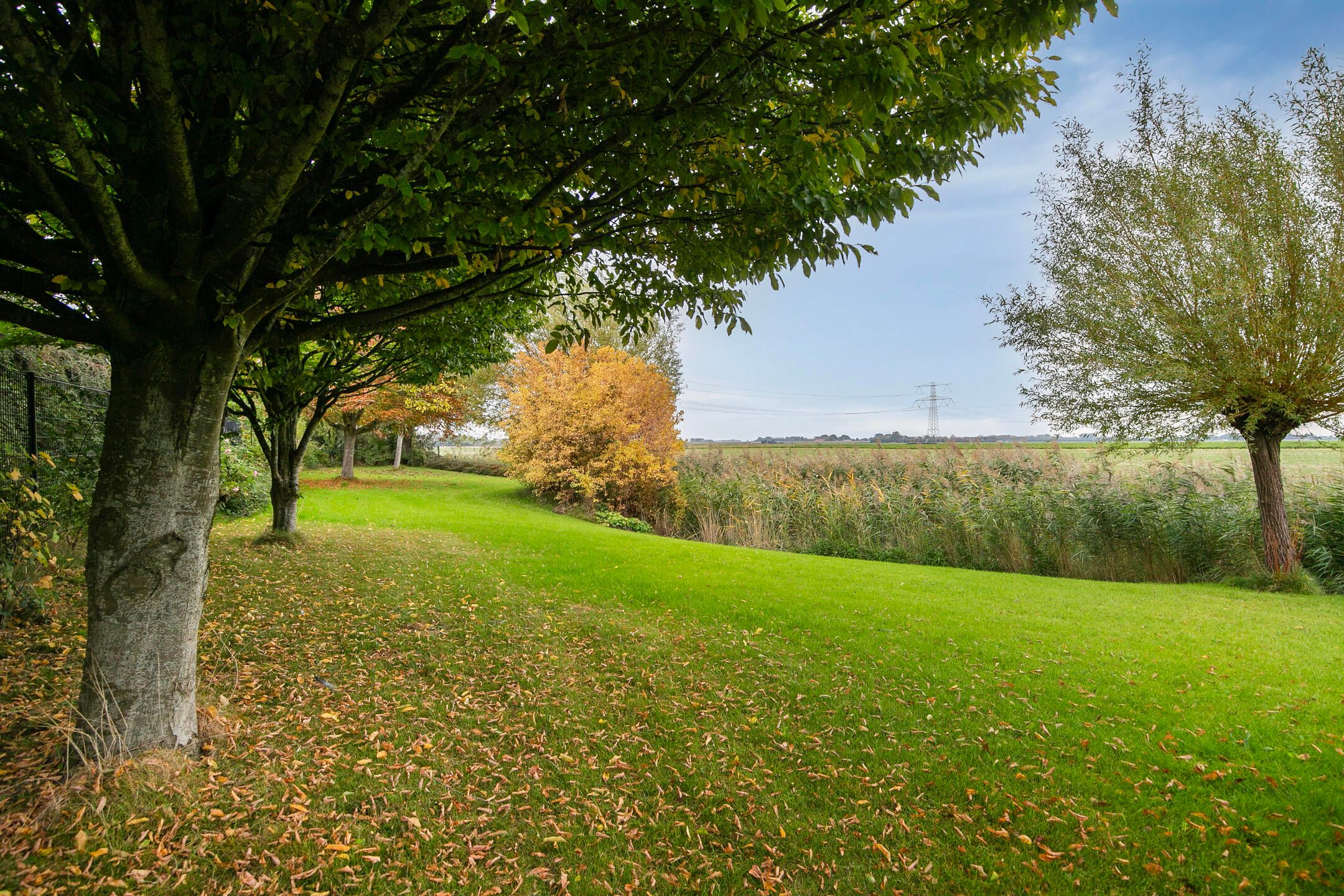 Foto 63 van Stuifakker 2