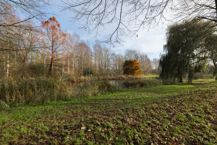 Foto 35 van Simon van Collemstraat 160