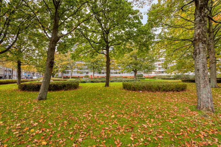 Photo 30 of Vrijburg 13