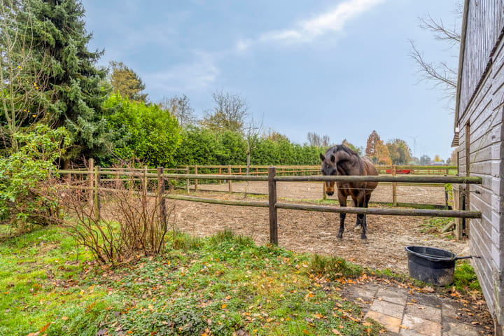 Foto 33 van Beneden Veensloot 16