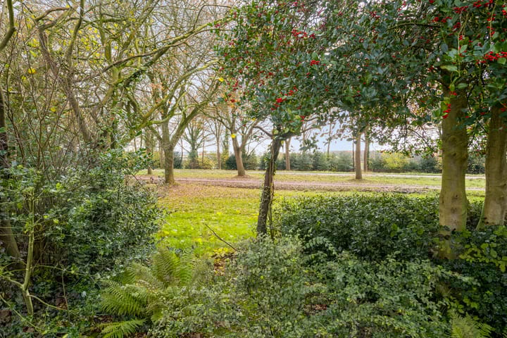 Foto 39 van De Akkers 21