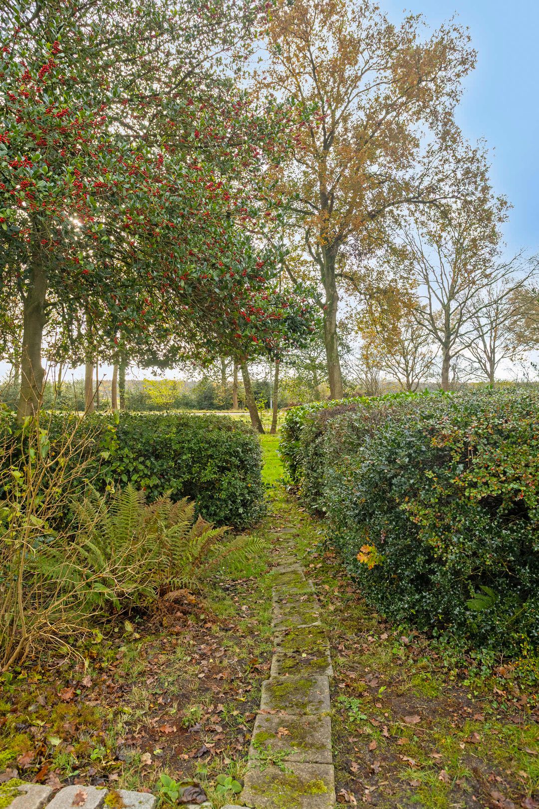 Foto 43 van De Akkers 21