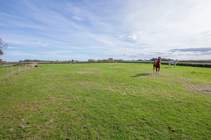 Foto 58 van Hoornderweg 17-X