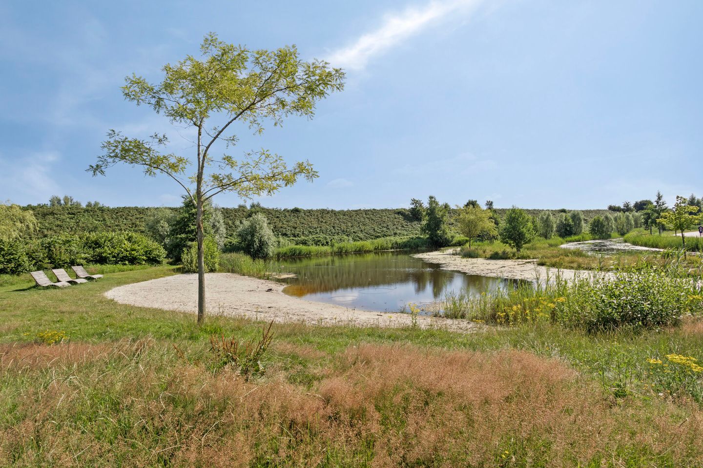 Photo 11 of Weegbree