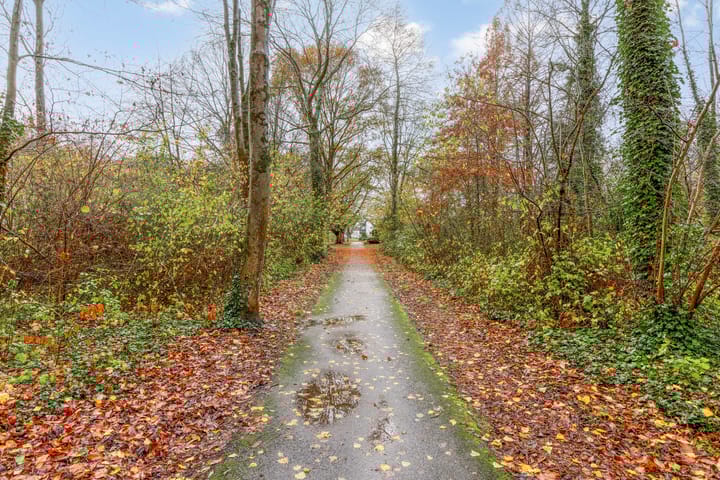 Photo 39 of Anna Paulownaplein 15