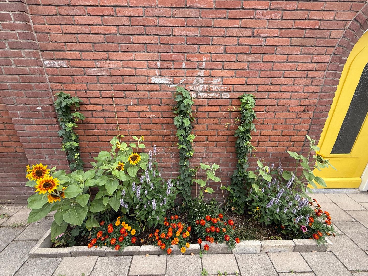 Foto 4 van Ampèrestraat 12