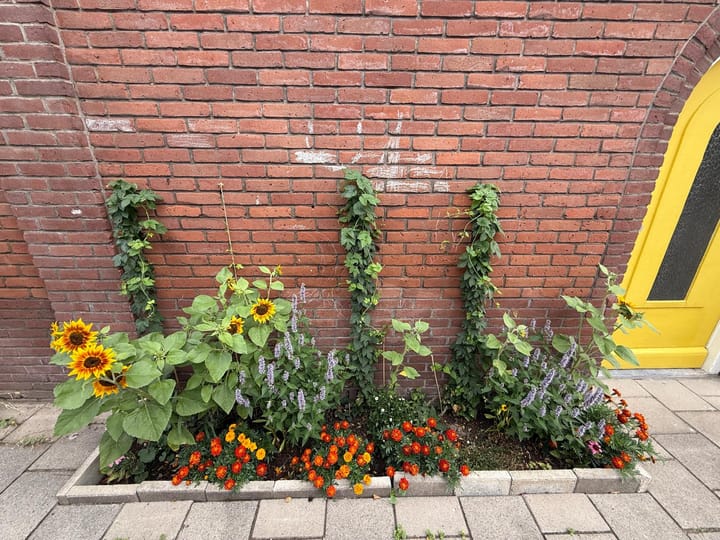 Photo 4 of Ampèrestraat 12