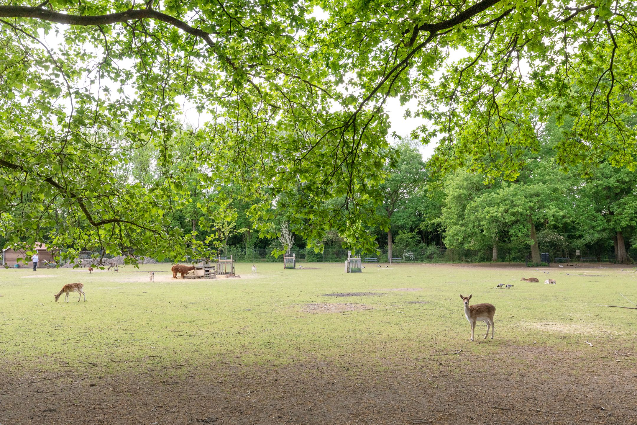 Foto 45 van Ampèrestraat 12