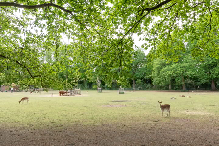 Photo 45 of Ampèrestraat 12