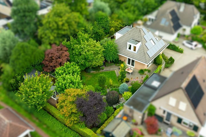 Foto 1 van Gentiaan 6