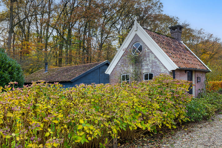 Foto 48 van Tolstraat 1