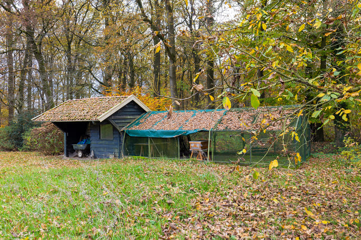 Foto 50 van Tolstraat 1